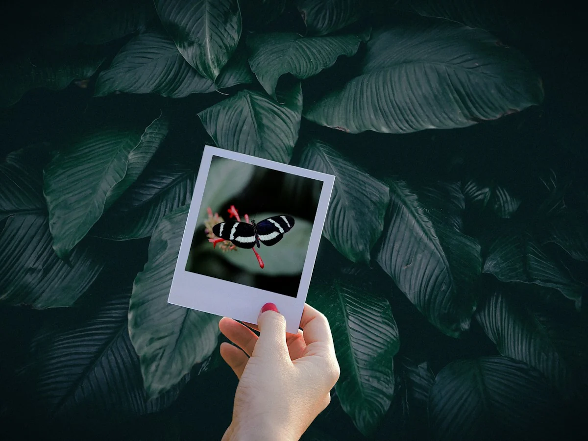 AnimateImage scene: hand holding a single instant photo above green leaves